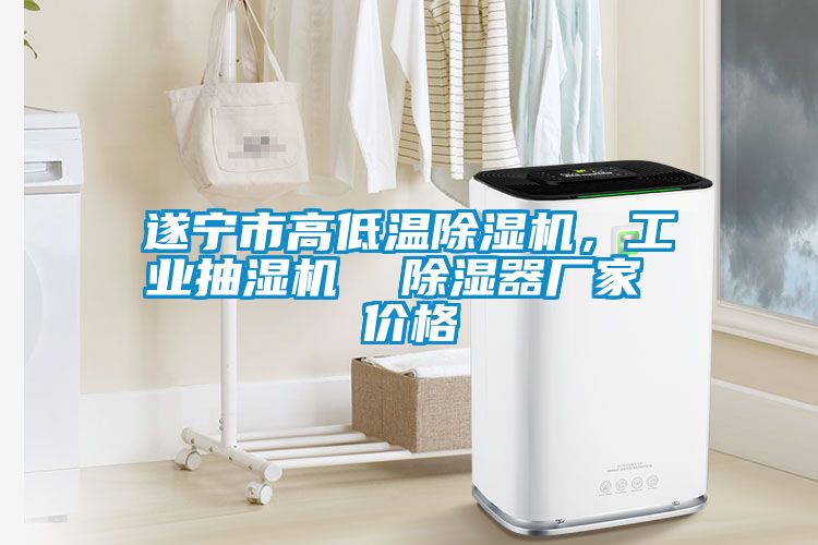 遂寧市高低溫除濕機，工業(yè)抽濕機  除濕器廠家 價格