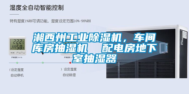 湘西州工業(yè)除濕機(jī)，車間庫房抽濕機(jī)  配電房地下室抽濕器