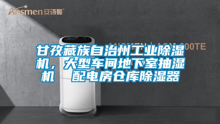 甘孜藏族自治州工業(yè)除濕機，大型車間地下室抽濕機  配電房倉庫除濕器