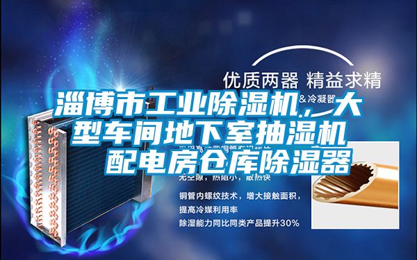 淄博市工業(yè)除濕機(jī)，大型車間地下室抽濕機(jī)  配電房倉(cāng)庫(kù)除濕器