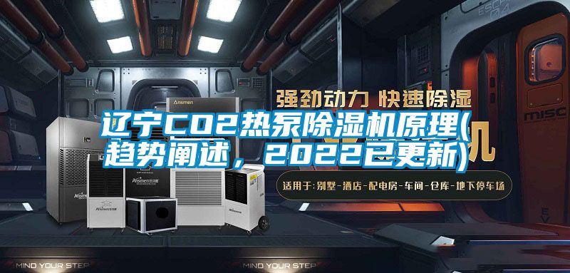 遼寧CO2熱泵除濕機原理(趨勢闡述，2022已更新)