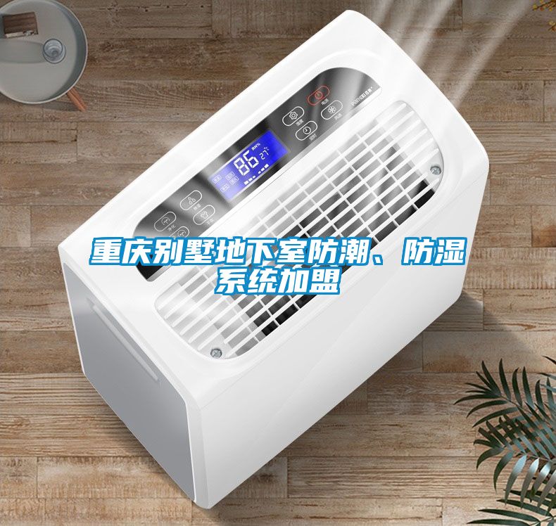 重慶別墅地下室防潮、防濕系統(tǒng)加盟