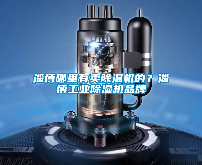 淄博哪里有賣除濕機(jī)的？淄博工業(yè)除濕機(jī)品牌