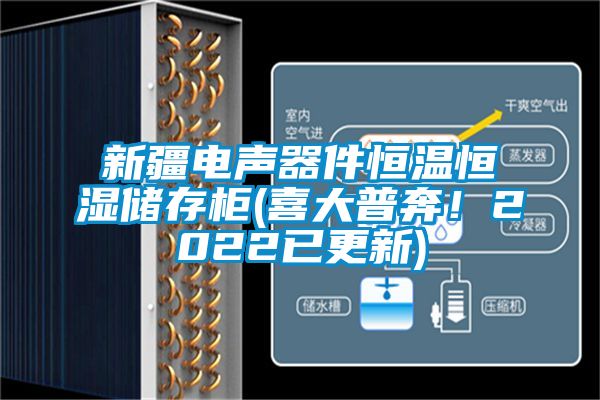 新疆電聲器件恒溫恒濕儲(chǔ)存柜(喜大普奔！2022已更新)