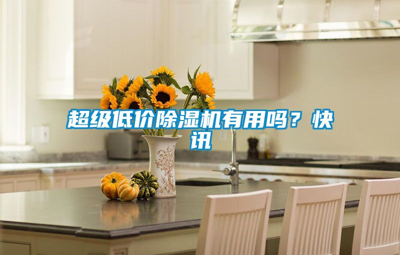 超級(jí)低價(jià)除濕機(jī)有用嗎？快訊