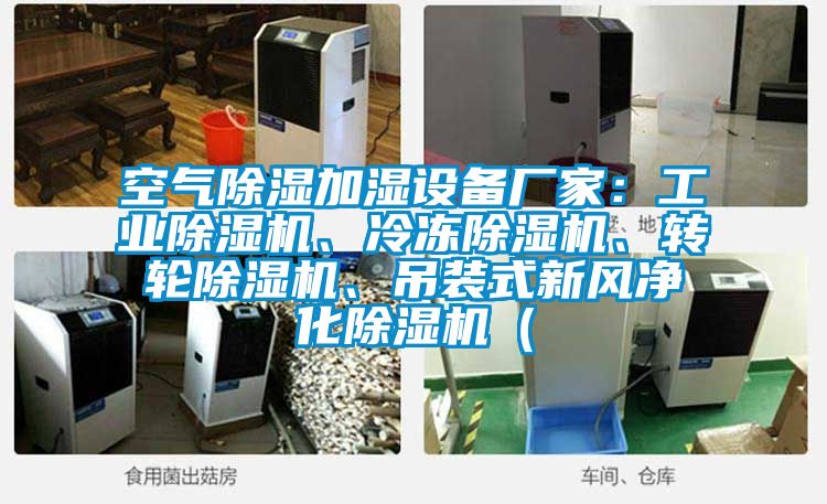 空氣除濕加濕設(shè)備廠家：工業(yè)除濕機、冷凍除濕機、轉(zhuǎn)輪除濕機、吊裝式新風(fēng)凈化除濕機（