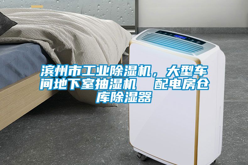 濱州市工業(yè)除濕機，大型車間地下室抽濕機  配電房倉庫除濕器