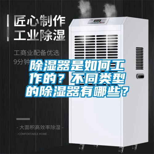 除濕器是如何工作的？不同類型的除濕器有哪些？