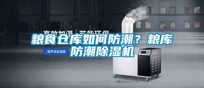 糧食倉(cāng)庫(kù)如何防潮？糧庫(kù)防潮除濕機(jī)