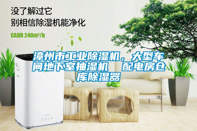 漳州市工業(yè)除濕機(jī)，大型車(chē)間地下室抽濕機(jī)  配電房倉(cāng)庫(kù)除濕器