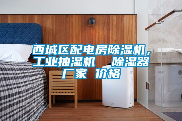 西城區(qū)配電房除濕機，工業(yè)抽濕機  除濕器廠家 價格