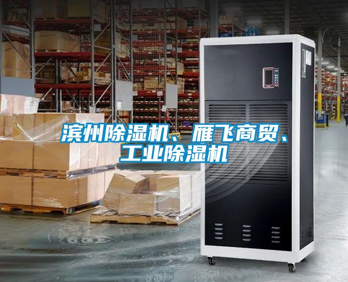 濱州除濕機、雁飛商貿(mào)、工業(yè)除濕機