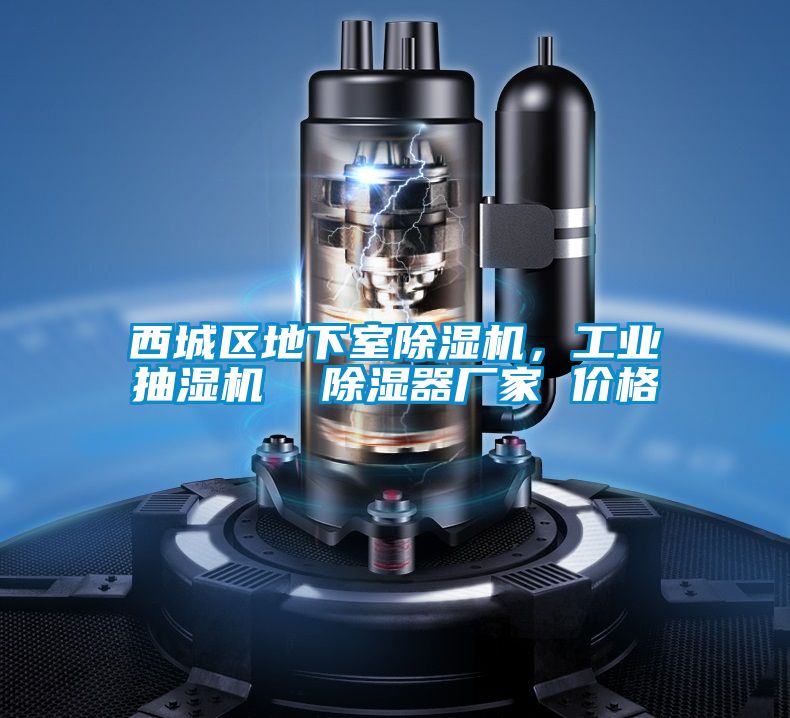 西城區(qū)地下室除濕機，工業(yè)抽濕機  除濕器廠家 價格