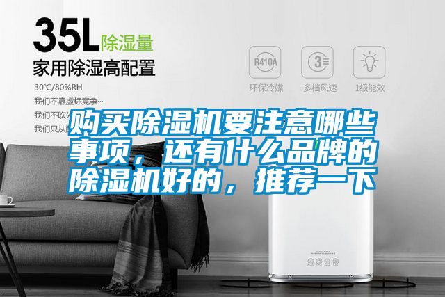 購買除濕機(jī)要注意哪些事項(xiàng)，還有什么品牌的除濕機(jī)好的，推薦一下