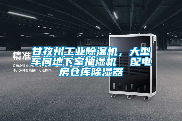 甘孜州工業(yè)除濕機(jī)，大型車間地下室抽濕機(jī)  配電房倉庫除濕器