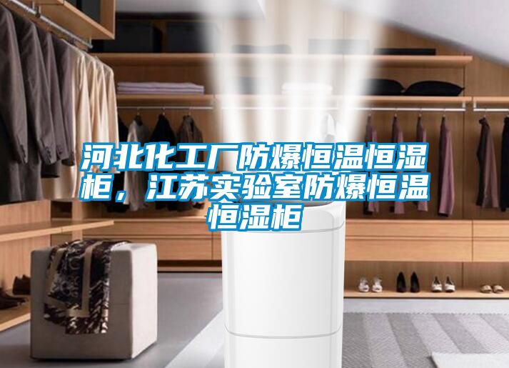 河北化工廠防爆恒溫恒濕柜，江蘇實驗室防爆恒溫恒濕柜