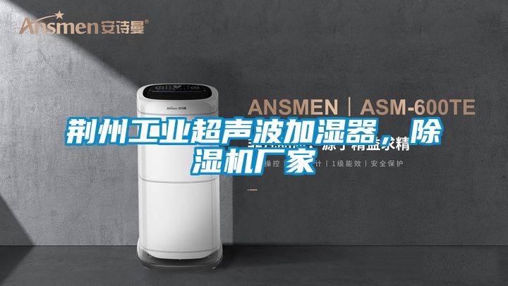 荊州工業(yè)超聲波加濕器，除濕機廠家