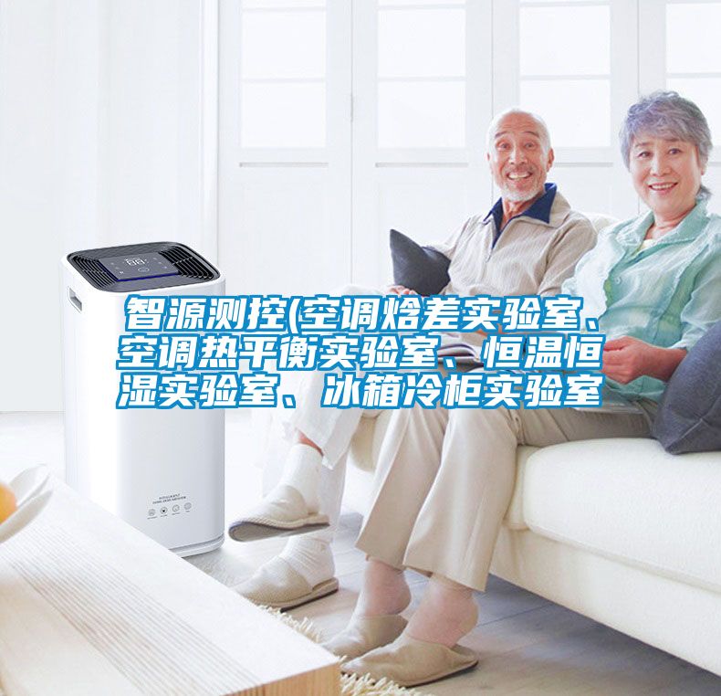 智源測控(空調焓差實驗室、空調熱平衡實驗室、恒溫恒濕實驗室、冰箱冷柜實驗室