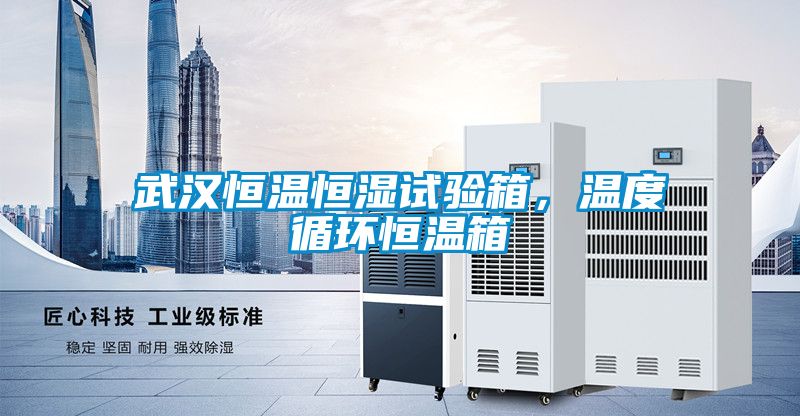 武漢恒溫恒濕試驗(yàn)箱，溫度循環(huán)恒溫箱