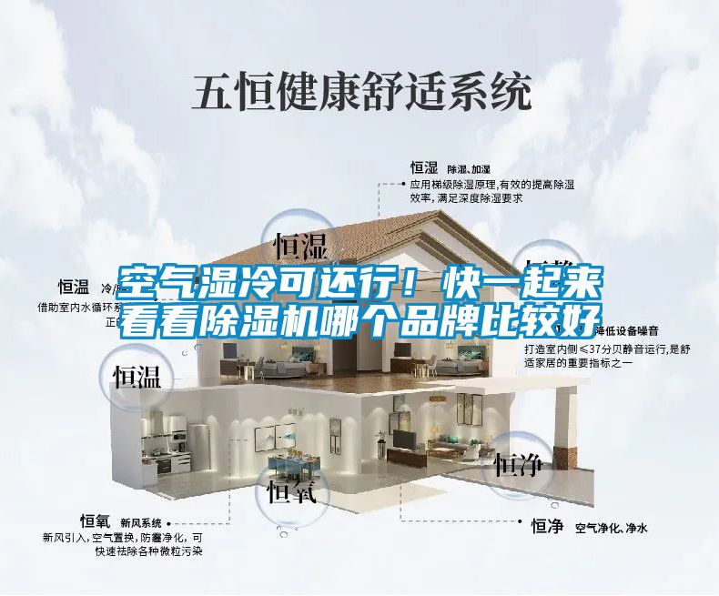 空氣濕冷可還行！快一起來看看除濕機哪個品牌比較好