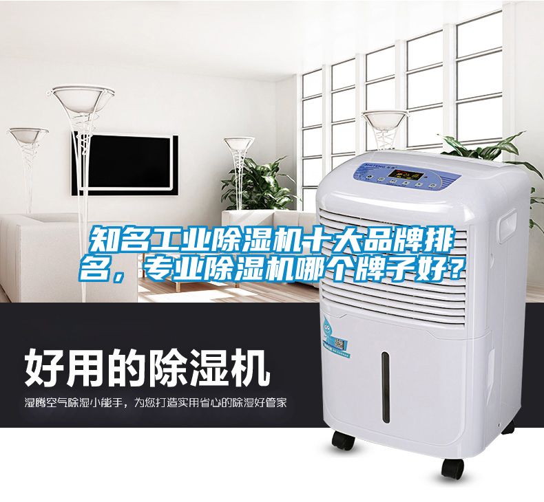 知名工業(yè)除濕機(jī)十大品牌排名，專業(yè)除濕機(jī)哪個(gè)牌子好？
