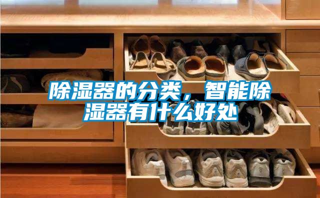 除濕器的分類，智能除濕器有什么好處