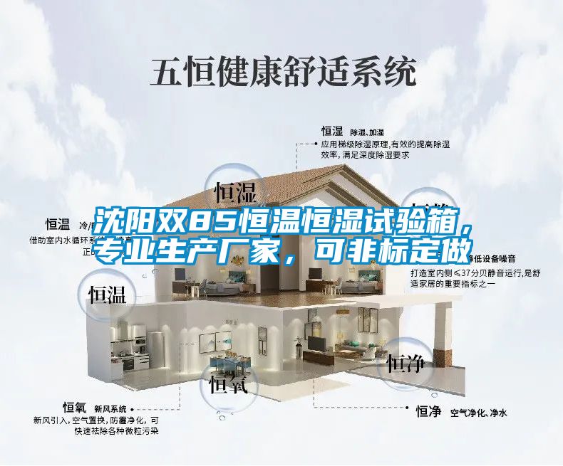 沈陽雙85恒溫恒濕試驗(yàn)箱，專業(yè)生產(chǎn)廠家，可非標(biāo)定做
