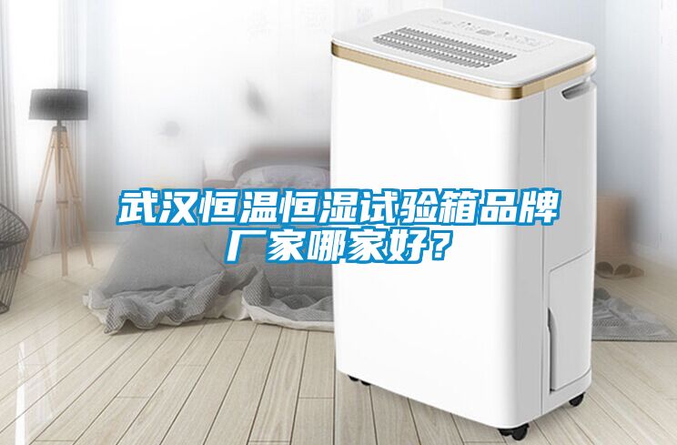 武漢恒溫恒濕試驗(yàn)箱品牌廠家哪家好？
