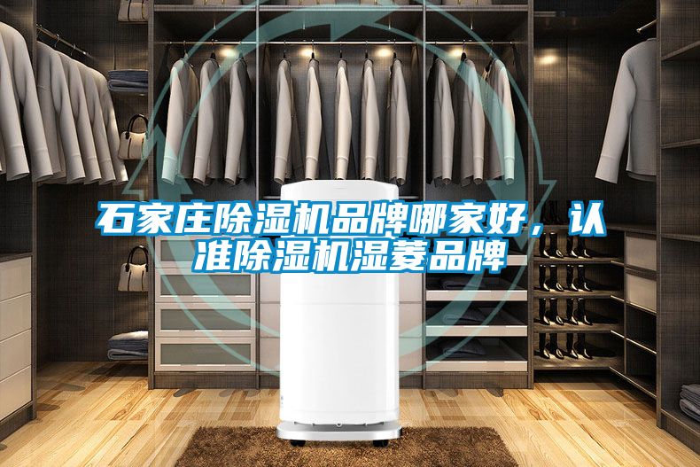 石家莊除濕機(jī)品牌哪家好，認(rèn)準(zhǔn)除濕機(jī)濕菱品牌