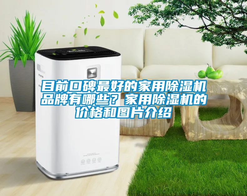 目前口碑最好的家用除濕機品牌有哪些？家用除濕機的價格和圖片介紹