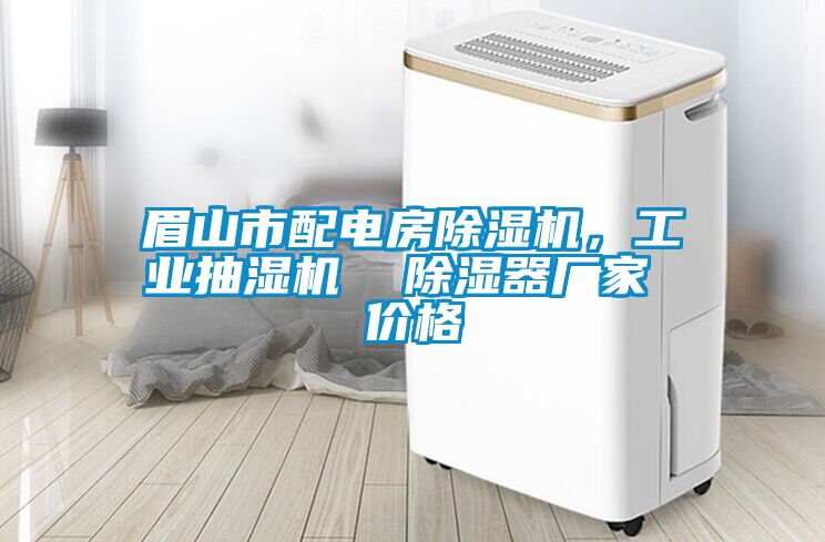 眉山市配電房除濕機，工業(yè)抽濕機  除濕器廠家 價格