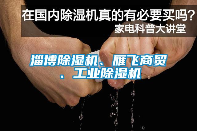 淄博除濕機(jī)、雁飛商貿(mào)、工業(yè)除濕機(jī)