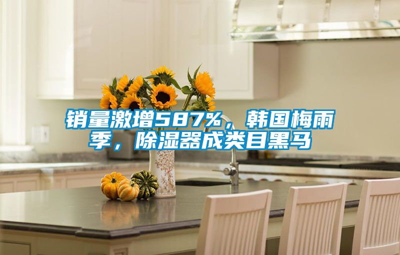銷量激增587%，韓國梅雨季，除濕器成類目黑馬