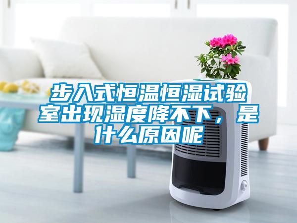 步入式恒溫恒濕試驗室出現(xiàn)濕度降不下，是什么原因呢