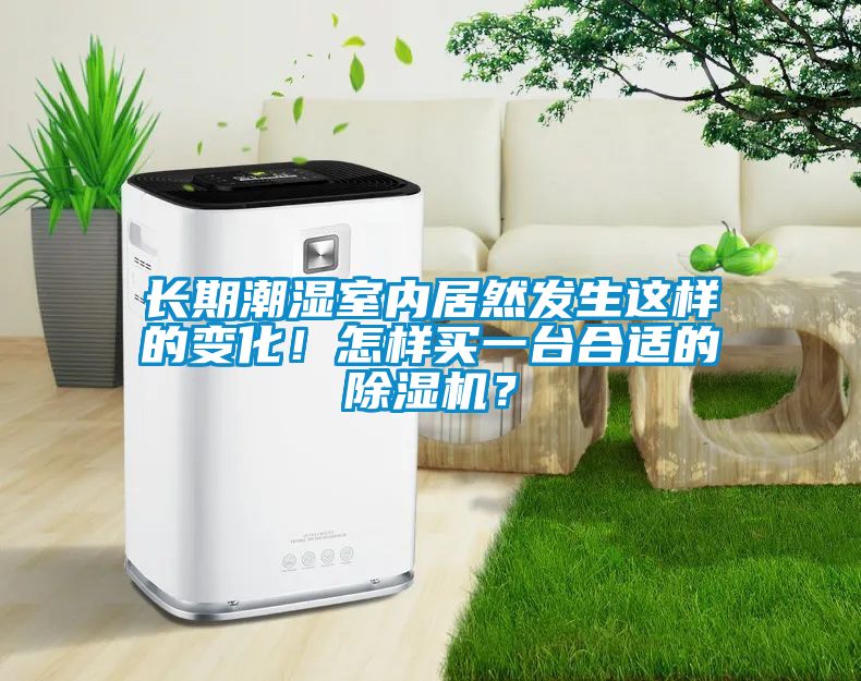 長期潮濕室內(nèi)居然發(fā)生這樣的變化！怎樣買一臺(tái)合適的除濕機(jī)？