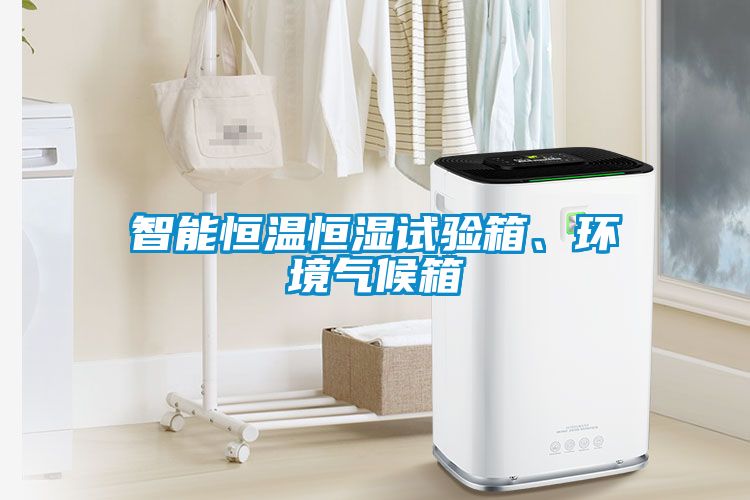智能恒溫恒濕試驗(yàn)箱、環(huán)境氣候箱