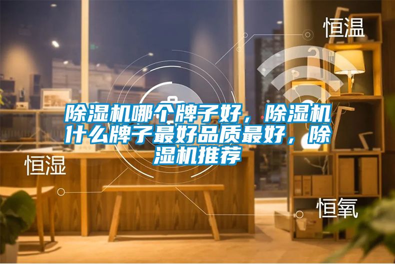 除濕機(jī)哪個(gè)牌子好，除濕機(jī)什么牌子最好品質(zhì)最好，除濕機(jī)推薦