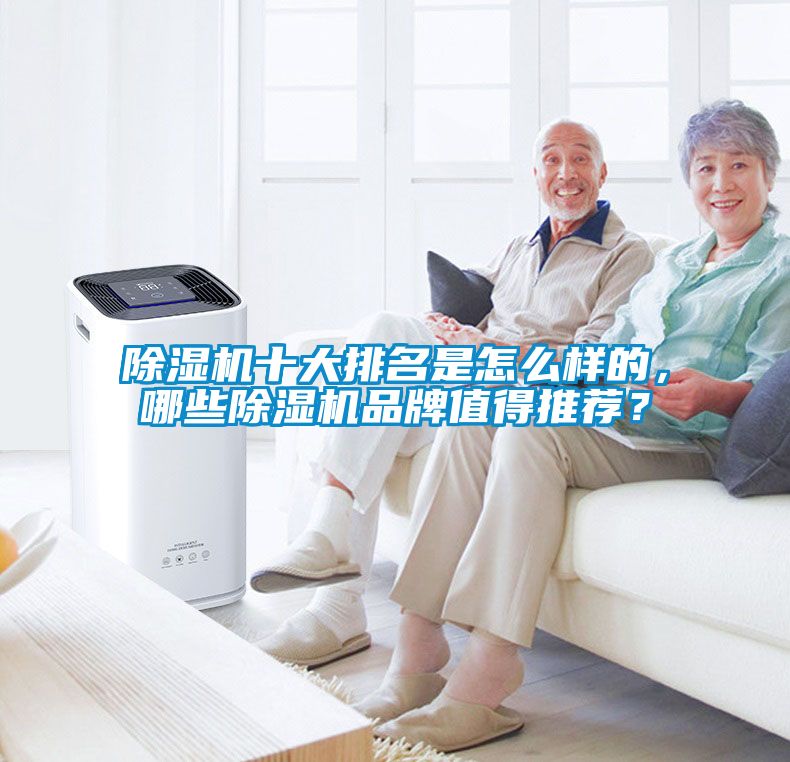 除濕機(jī)十大排名是怎么樣的，哪些除濕機(jī)品牌值得推薦？