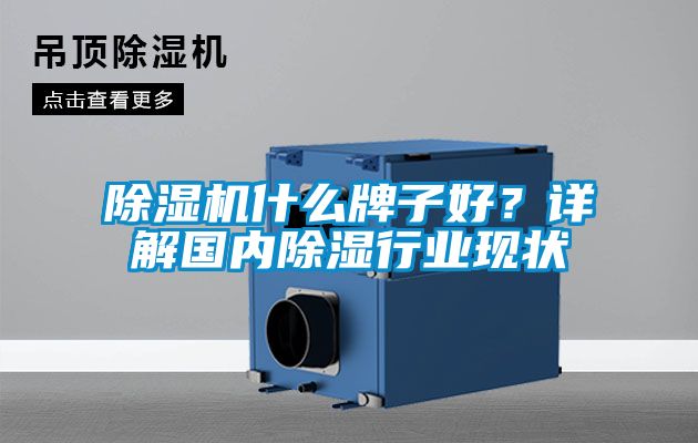 除濕機什么牌子好？詳解國內(nèi)除濕行業(yè)現(xiàn)狀
