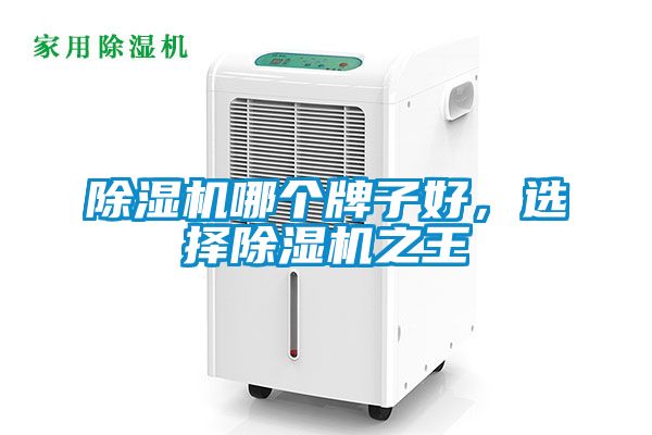 除濕機(jī)哪個(gè)牌子好，選擇除濕機(jī)之王