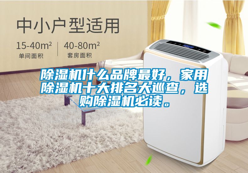 除濕機(jī)什么品牌最好，家用除濕機(jī)十大排名大巡查，選購(gòu)除濕機(jī)必讀。