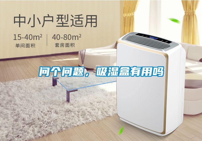 問個問題，吸濕盒有用嗎