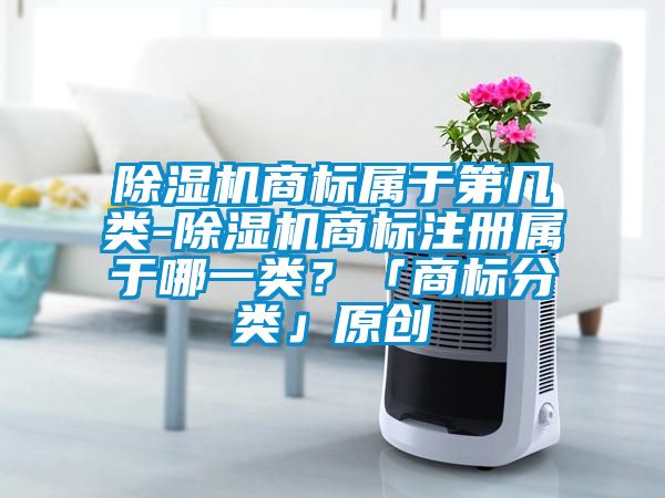 除濕機(jī)商標(biāo)屬于第幾類-除濕機(jī)商標(biāo)注冊(cè)屬于哪一類？「商標(biāo)分類」原創(chuàng)