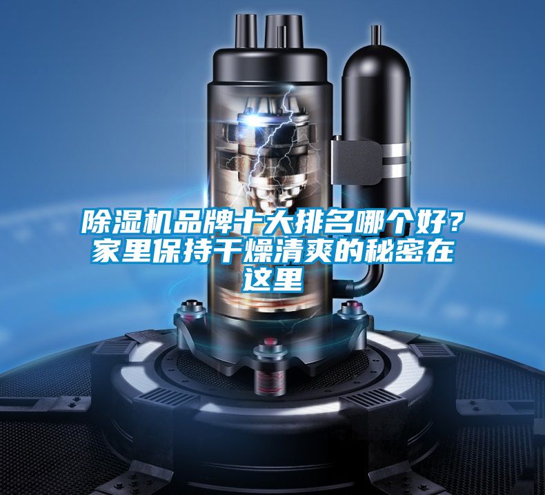 除濕機品牌十大排名哪個好？家里保持干燥清爽的秘密在這里