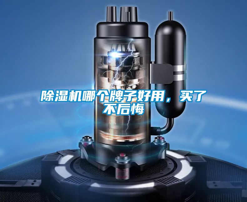 除濕機(jī)哪個(gè)牌子好用，買了不后悔