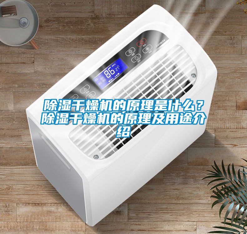 除濕干燥機的原理是什么？除濕干燥機的原理及用途介紹