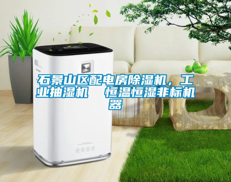 石景山區(qū)配電房除濕機(jī)，工業(yè)抽濕機(jī)  恒溫恒濕非標(biāo)機(jī)器