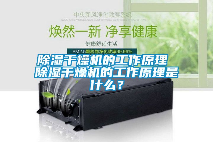 除濕干燥機的工作原理 除濕干燥機的工作原理是什么？