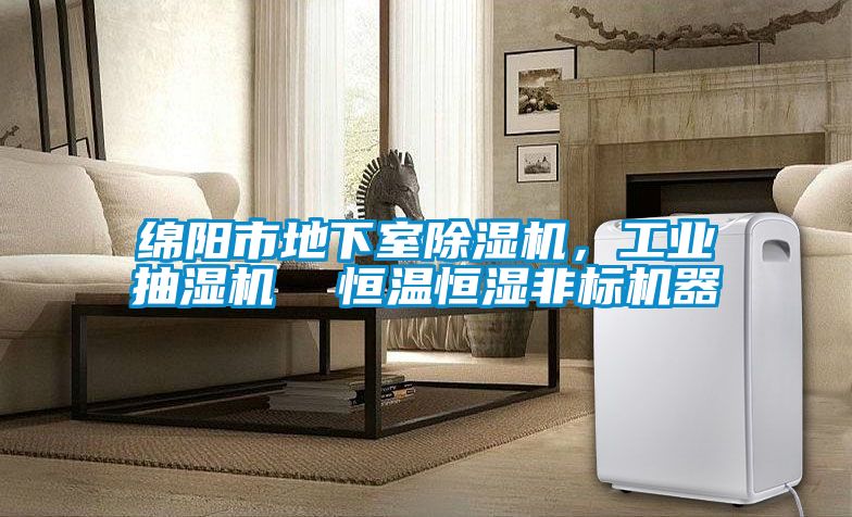 綿陽市地下室除濕機(jī)，工業(yè)抽濕機(jī)  恒溫恒濕非標(biāo)機(jī)器