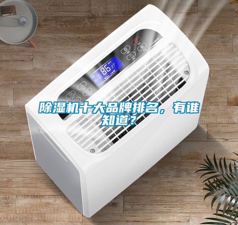 除濕機十大品牌排名，有誰知道？